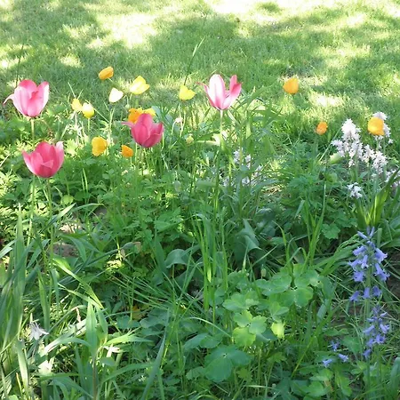 Kirkeby Prázdninový dům